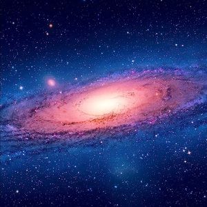 Meet your Posher, Noah